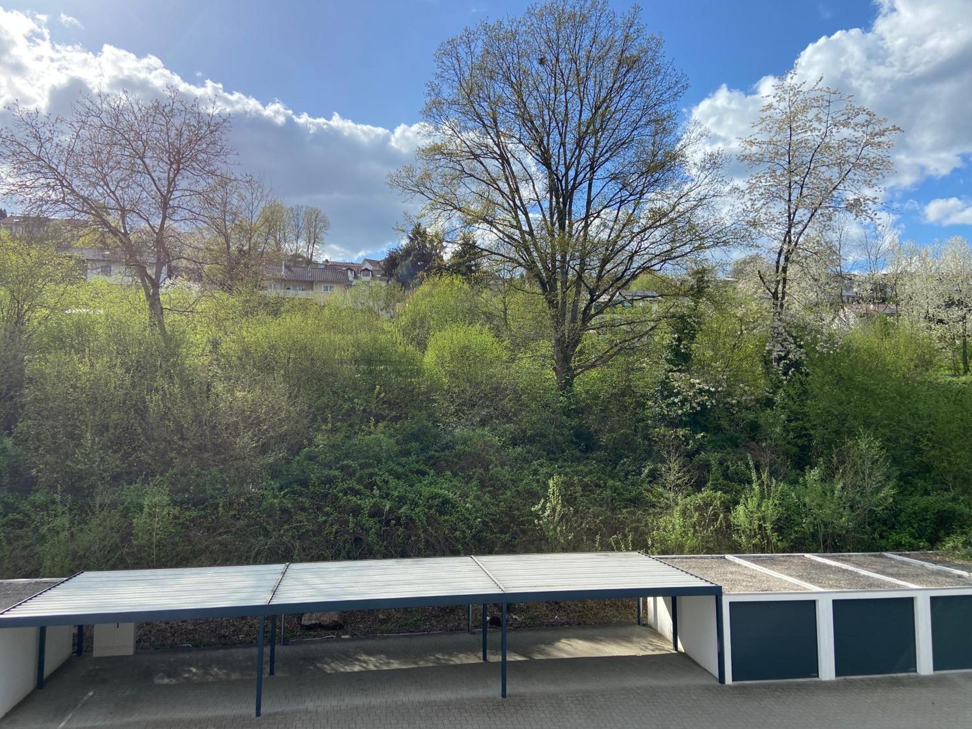 Ferienwohnung Am Erbacher Muemlingufer Erbach  Exterior foto